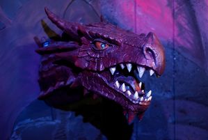 Фотографія рольового квесту Замок дракона від компанії Замок дракона (Фото 1)