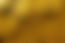 Фотография экшн-игры Золотая лихорадка от компании Fort Aventura (Фото 1)