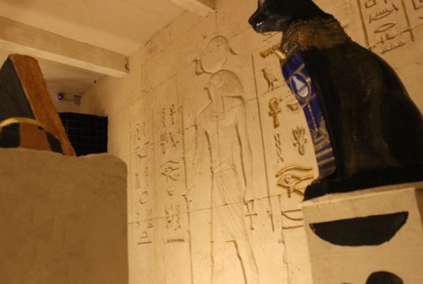 XROOM