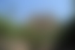 Фотографія онлайн-квесту Джуманджі від компанії Enigma Room (Фото 1)