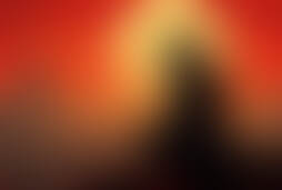 Фотографія квесту Робин Гуд від компанії Гепард (Фото 1)