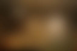 Фотографія квесту Берлин 44 від компанії Room Quest (Фото 1)