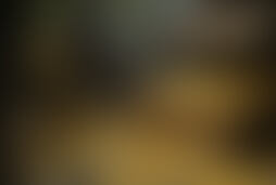 Фотографія квесту Золото купца Арсения від компанії Лабиринт (Фото 1)