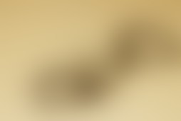 Фотографія квесту Таємна особистість від компанії Puzzle (Фото 3)