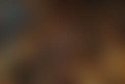 Фотография квеста-анимации Волшебная лампа Аладдина от компании Квестмания (Фото 1)