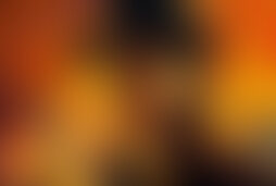 Фотография квеста-анимации Неуловимый Джо от компании Квестмания (Фото 1)