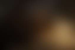 Фотографія квесту Схованка Роббі Бакса від компанії Під замком (Фото 3)